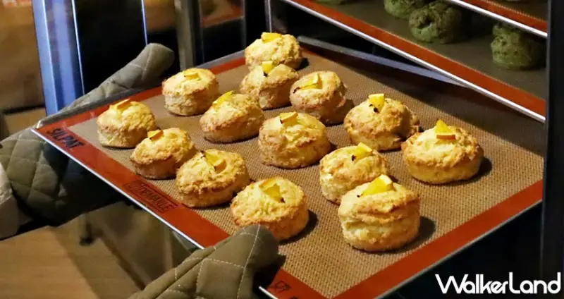 TSUTAYA BOOKSTORE大立店 / WalkerLand窩客島提供 未經許可，不得轉載