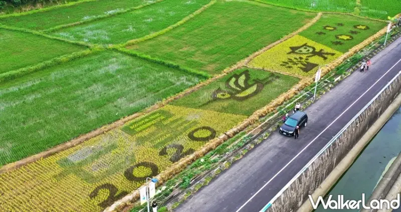關渡平原稻田彩繪/ WalkerLand窩客島整理提供 未經許可不可轉載