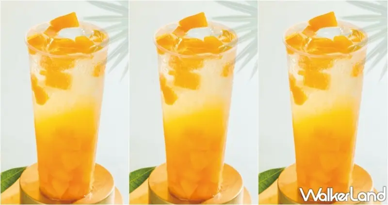 沐沐茶旅 / WalkerLand窩客島整理提供 未經許可，不得轉載