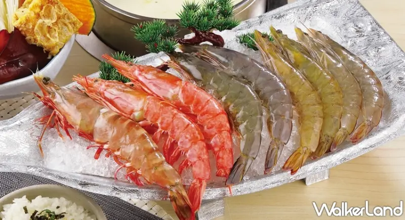 星野肉肉鍋 / WalkerLand窩客島提供 未經許可，不得轉載