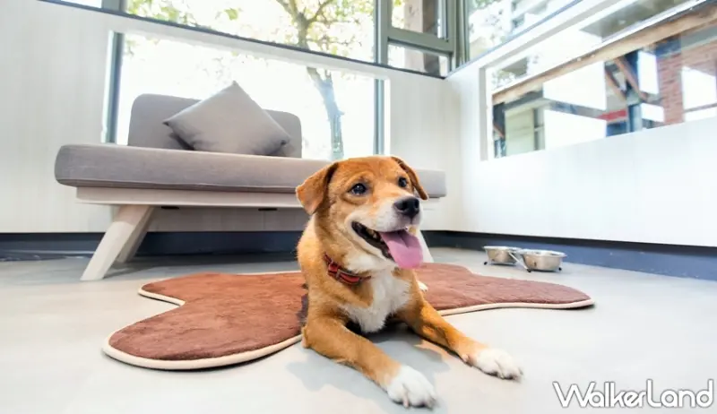 宜蘭傳藝老爺行旅