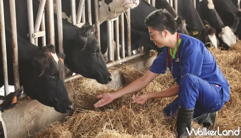 鮮乳坊創辦人龔建嘉 / WalkerLand窩客島提供 未經許可，不得轉載