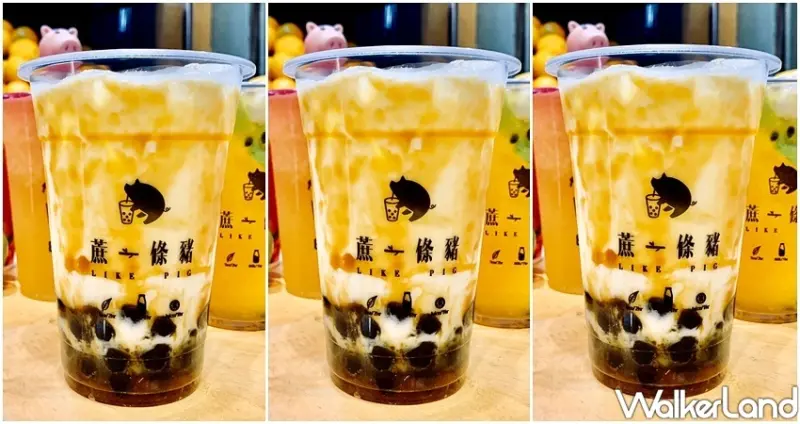 新竹手搖飲「蔗一條豬」 / WalkerLand窩客島整理提供 未經許可不可轉載