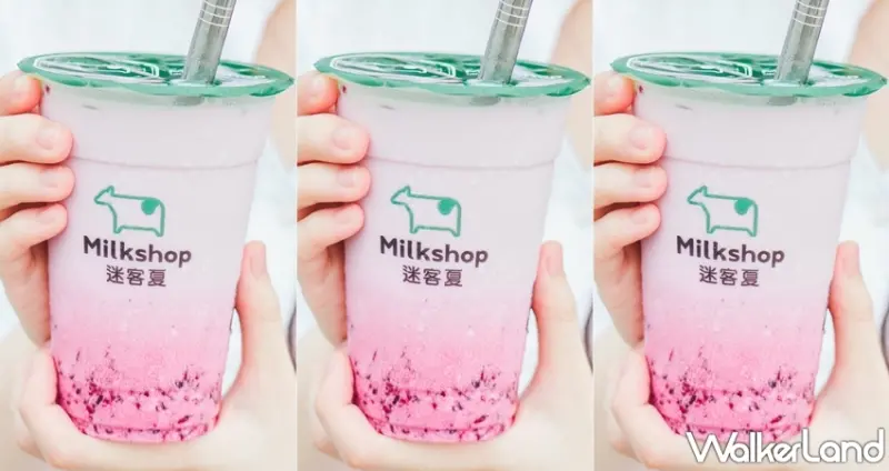 迷客夏 / WalkerLand窩客島提供 未經許可，不得轉載