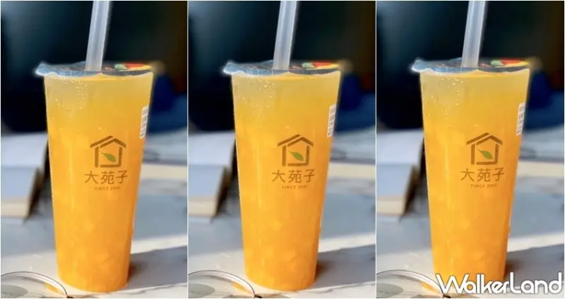 大苑子 愛文翡翠Double(L) / WalkerLand窩客島整理提供 未經許可，不得轉載