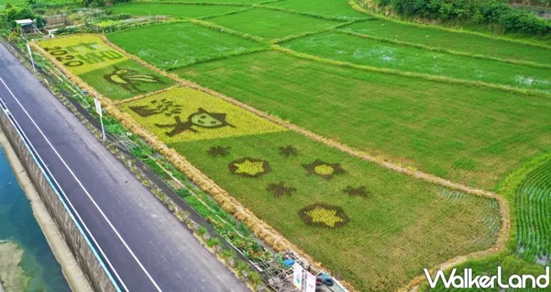 關渡平原稻田彩繪/ WalkerLand窩客島整理提供 未經許可不可轉載