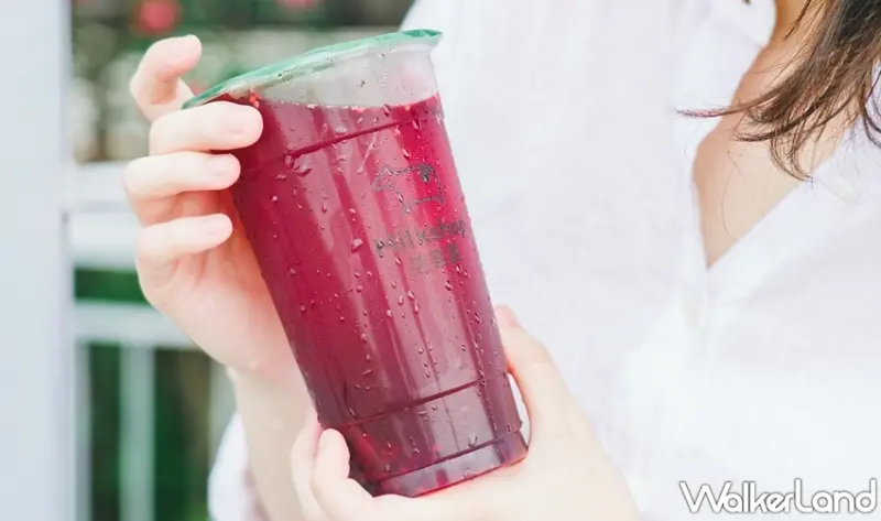 迷客夏 / WalkerLand窩客島提供 未經許可，不得轉載