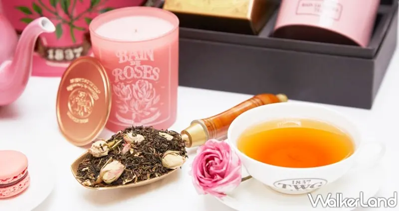 TWG Tea / WalkerLand窩客島整理提供 未經許可，不得轉載
