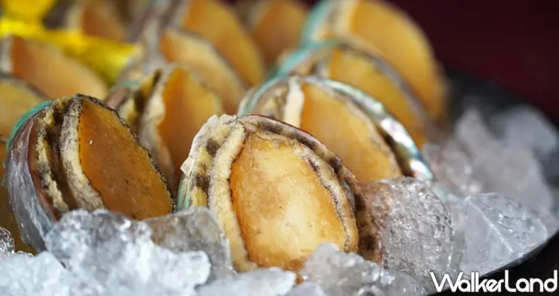 吃到飽馬辣「4人同行1人免費」 / WalkerLand窩客島整理提供 未經許可不可轉載