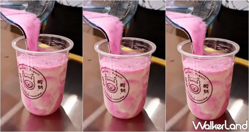 圓石酸奶 / WalkerLand窩客島提供 未經許可，不得轉載