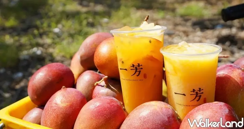一芳水果茶「愛文芒果西米露」 / WalkerLand窩客島整理提供 未經許可不可轉載