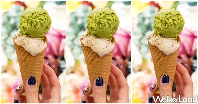 吃到飽馬辣「4人同行1人免費」 / WalkerLand窩客島整理提供 未經許可不可轉載