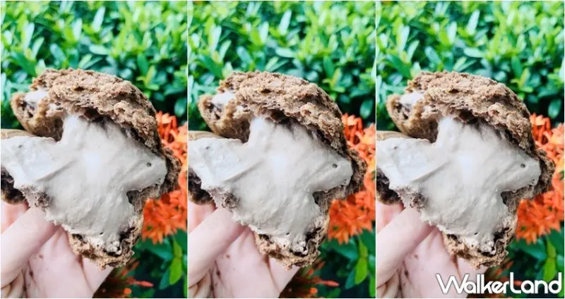 NOZOMI / WalkerLand窩客島整理提供 未經許可，不得轉載