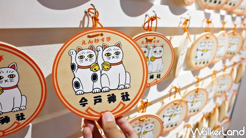 日本福貓展 / WalkerLand窩客島提供 未經許可，不得轉載