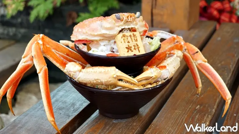 食指大丼 / WalkerLand窩客島提供 未經許可，不得轉載