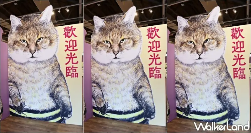 日本福貓展 / WalkerLand窩客島提供 未經許可，不得轉載