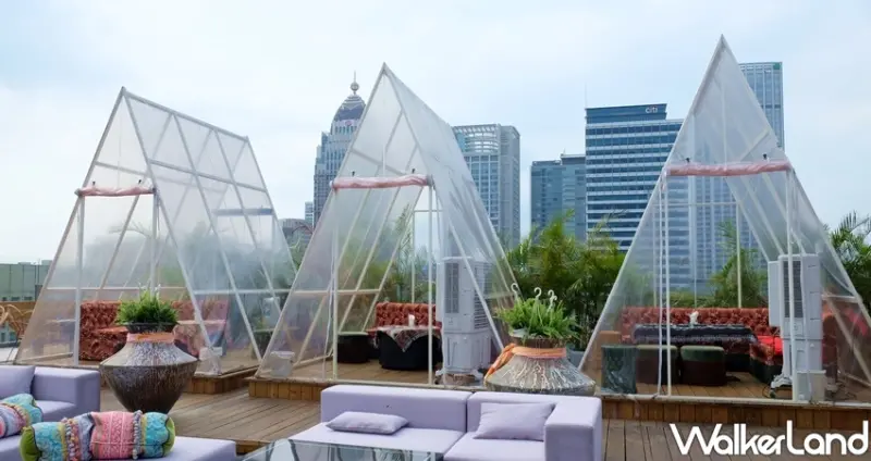 Drunk Play爛醉不累 / WalkerLand窩客島整理提供 未經許可不可轉載