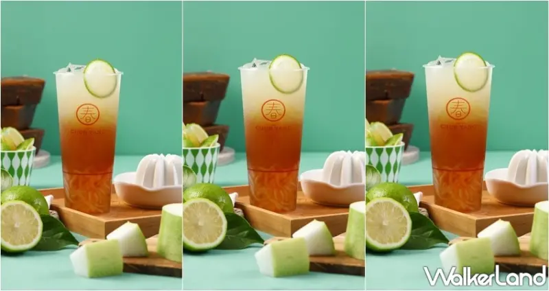 春陽茶事 / WalkerLand窩客島整理提供 未經許可，不得轉載