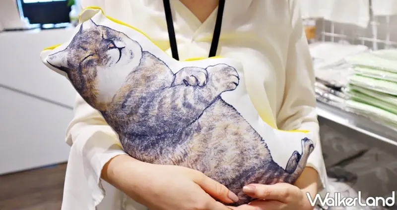 日本福貓展 / WalkerLand窩客島提供 未經許可，不得轉載