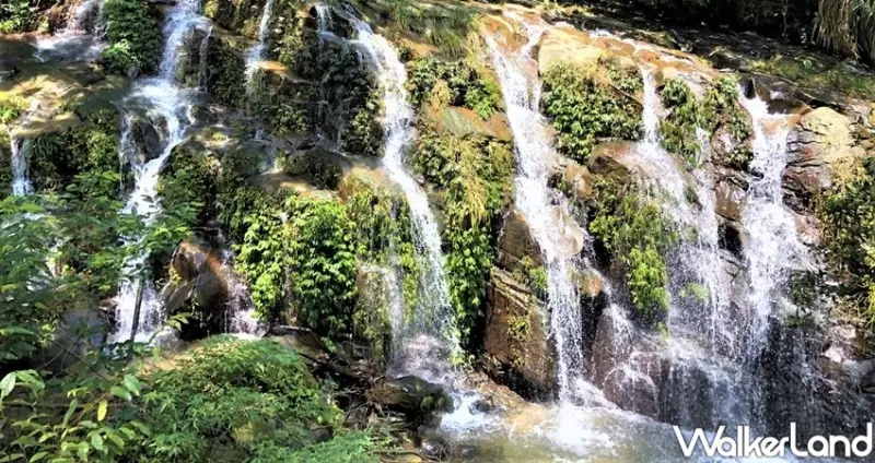 阿里山景點 / WalkerLand窩客島整理提供 未經許可不可轉載