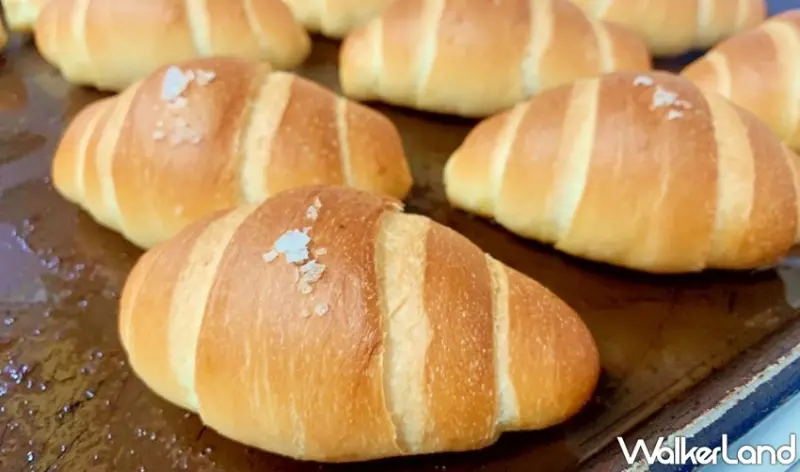 NOZOMI / WalkerLand窩客島整理提供 未經許可，不得轉載