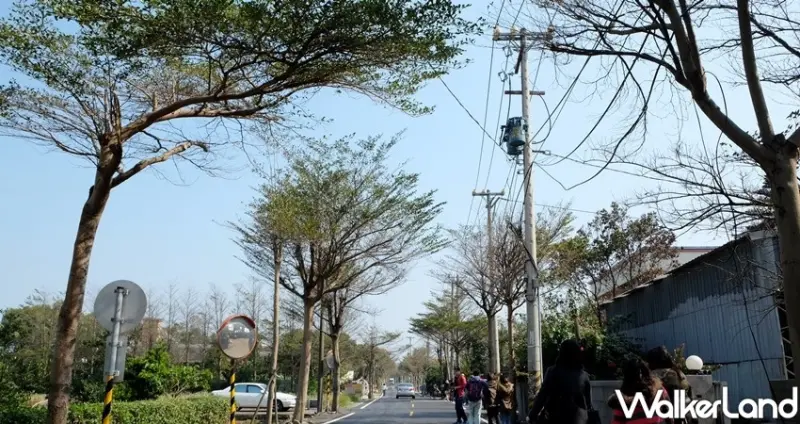 桃園機場捷運「仲夏一日票買一送一」 / WalkerLand窩客島整理提供 未經許可不可轉載