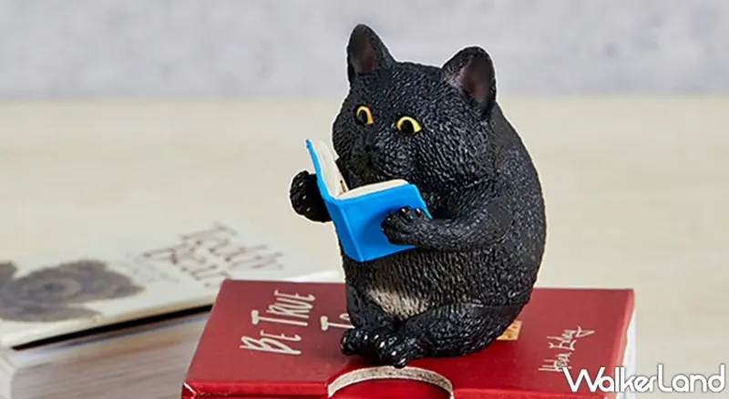 朝隈俊男X黃阿瑪的後宮生活 / WalkerLand窩客島提供 未經許可，不得轉載