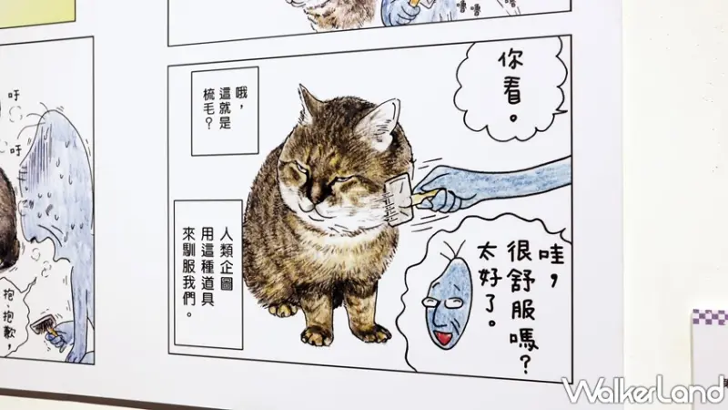 日本福貓展 / WalkerLand窩客島提供 未經許可，不得轉載