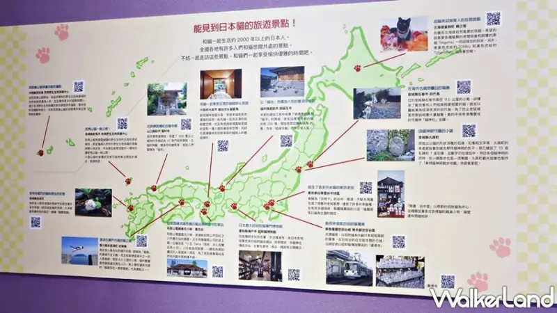 日本福貓展 / WalkerLand窩客島提供 未經許可，不得轉載