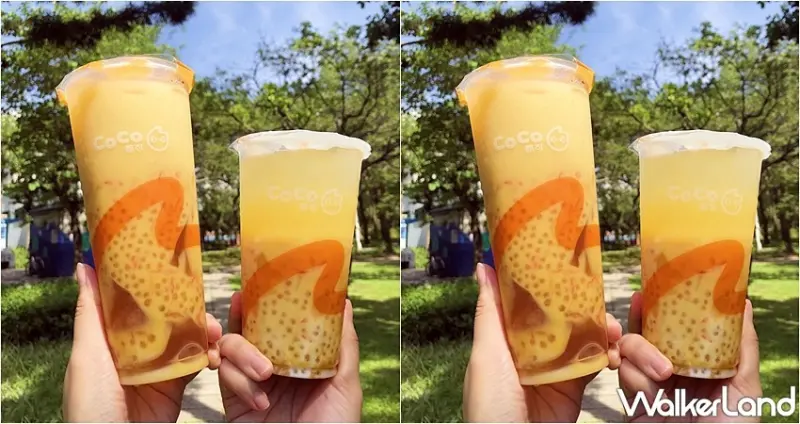 CoCo楊枝甘露 / WalkerLand窩客島整理提供 未經許可，不得轉載