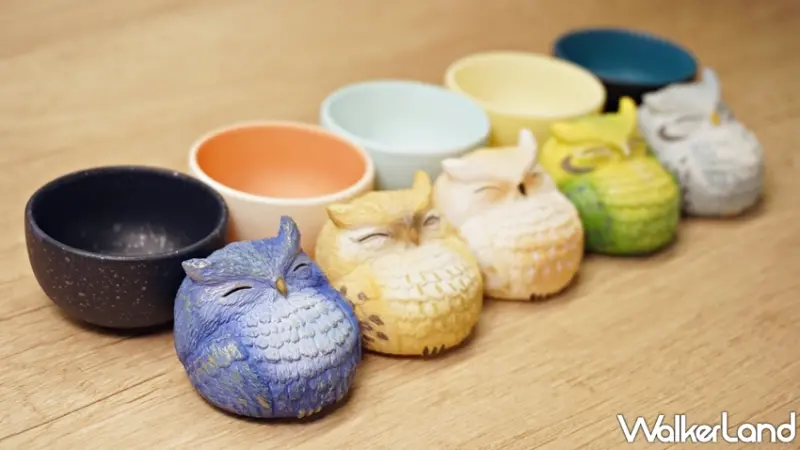 杯中生物 / WalkerLand窩客島提供 未經許可，不得轉載