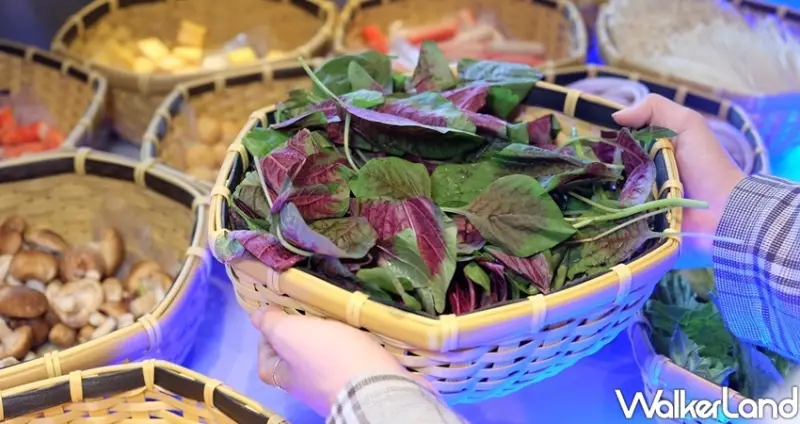 火鍋吃到飽「夏部火鍋」感恩季 / WalkerLand窩客島整理提供 未經許可不可轉載