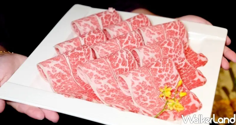 精品火鍋「食令shabu」台北101美食 / WalkerLand窩客島整理提供 未經許可不可轉載