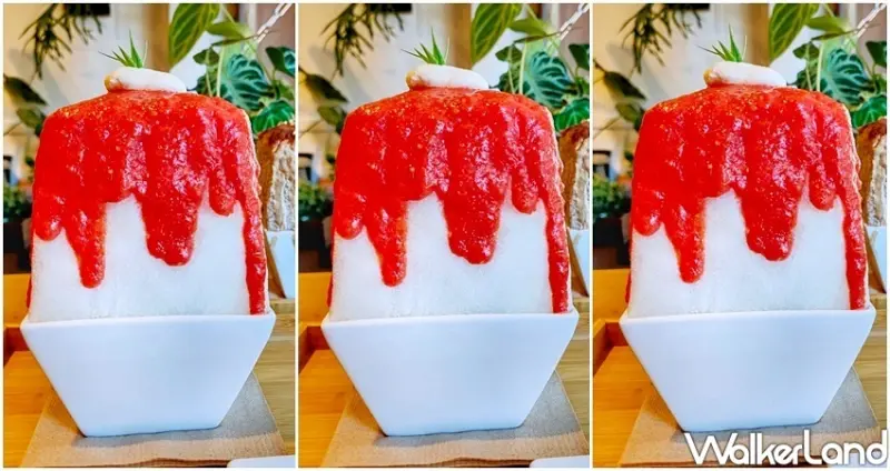 中壢美食 冰店「Garden 313」 / WalkerLand窩客島整理提供 未經許可不可轉載