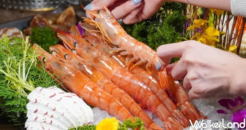 火鍋吃到飽 問鼎(西門店) / WalkerLand窩客島整理提供 未經許可不可轉載