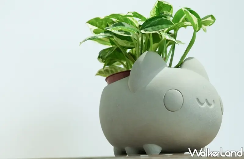 咖波 / WalkerLand窩客島提供 未經許可，不得轉載