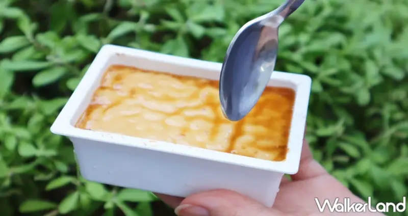 紅磚布丁 / WalkerLand窩客島提供 未經許可，不得轉載