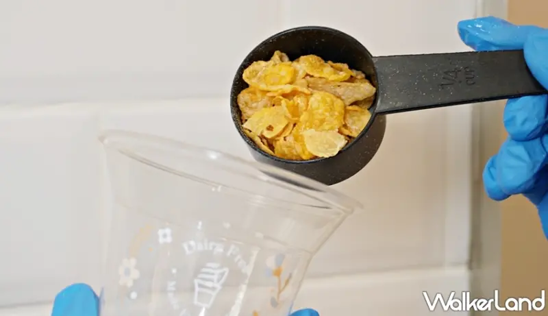 Aunt Stella / WalkerLand窩客島提供 未經許可，不得轉載