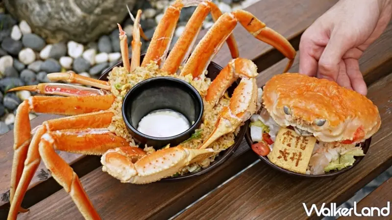 食指大丼 / WalkerLand窩客島提供 未經許可，不得轉載