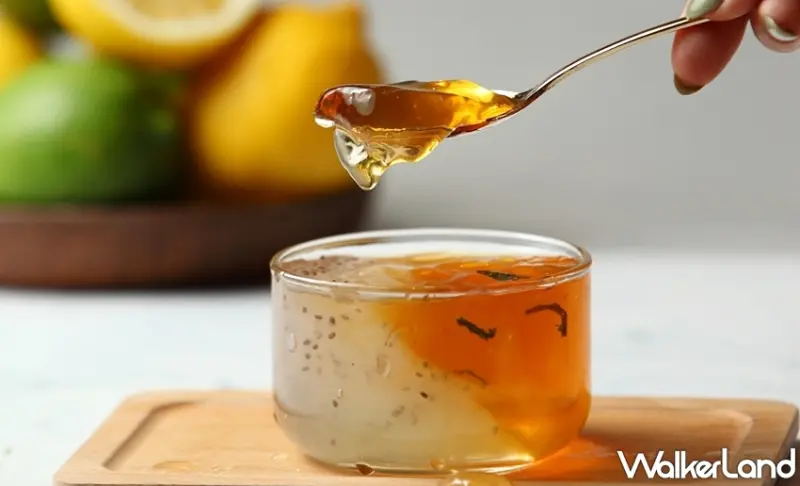 珍蜜堂 / WalkerLand窩客島提供 未經許可，不得轉載