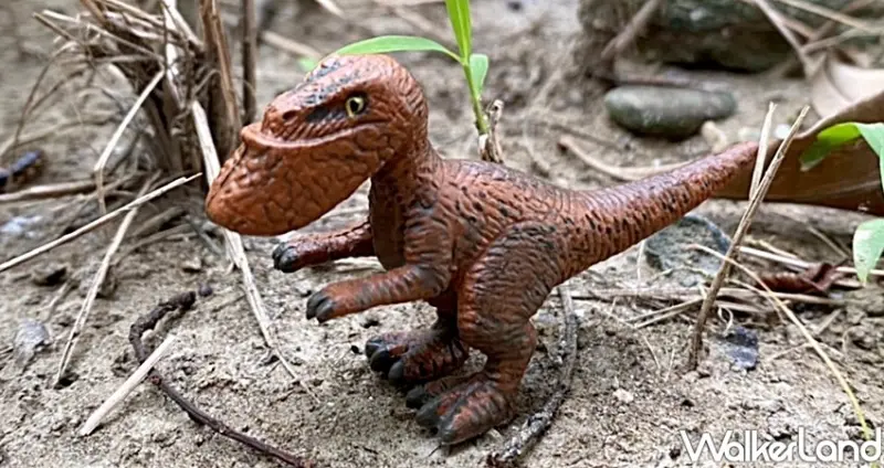 戽斗恐龍 / WalkerLand窩客島整理提供 未經許可不可轉載