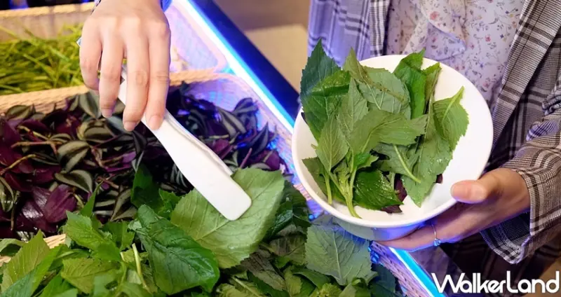 信義區火鍋吃到飽「夏部火鍋」 / WalkerLand窩客島整理提供 未經許可不可轉載