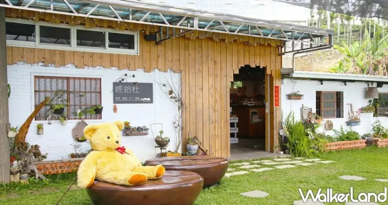 阿里山景點 / WalkerLand窩客島整理提供 未經許可不可轉載