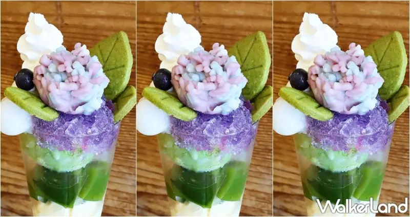 伊藤久右衛門 / WalkerLand窩客島提供 未經許可，不得轉載