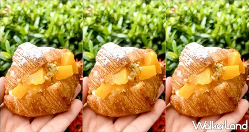 NOZOMI / WalkerLand窩客島整理提供 未經許可，不得轉載