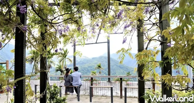 阿里山景點 / WalkerLand窩客島整理提供 未經許可不可轉載