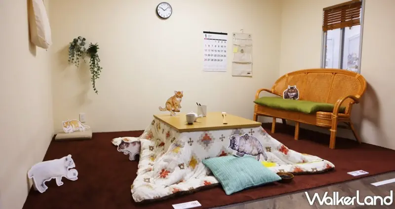 日本福貓展 / WalkerLand窩客島提供 未經許可，不得轉載