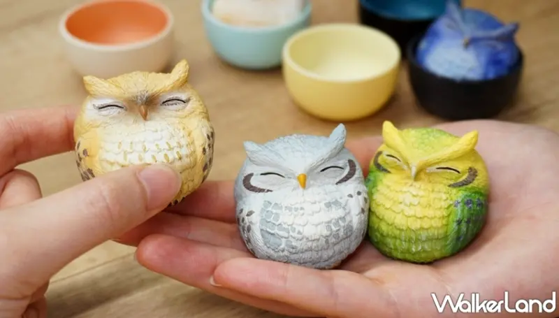 杯中生物 / WalkerLand窩客島提供 未經許可，不得轉載