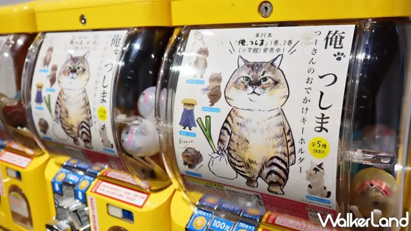 日本福貓展 / WalkerLand窩客島提供 未經許可，不得轉載