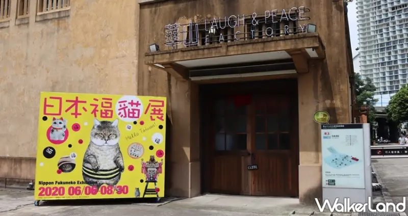 日本福貓展 / WalkerLand窩客島提供 未經許可，不得轉載